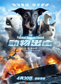 91视频入口